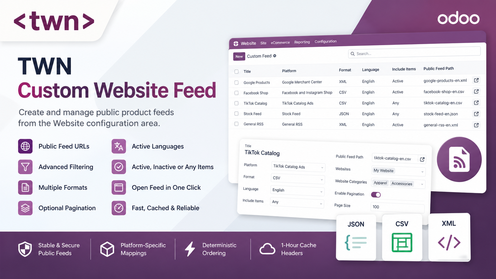 TWN Custom Website Feed plugin preview